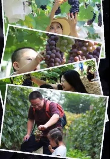熱烈祝賀廣州市國藝農(nóng)業(yè)生態(tài)有限公司掛牌成功！